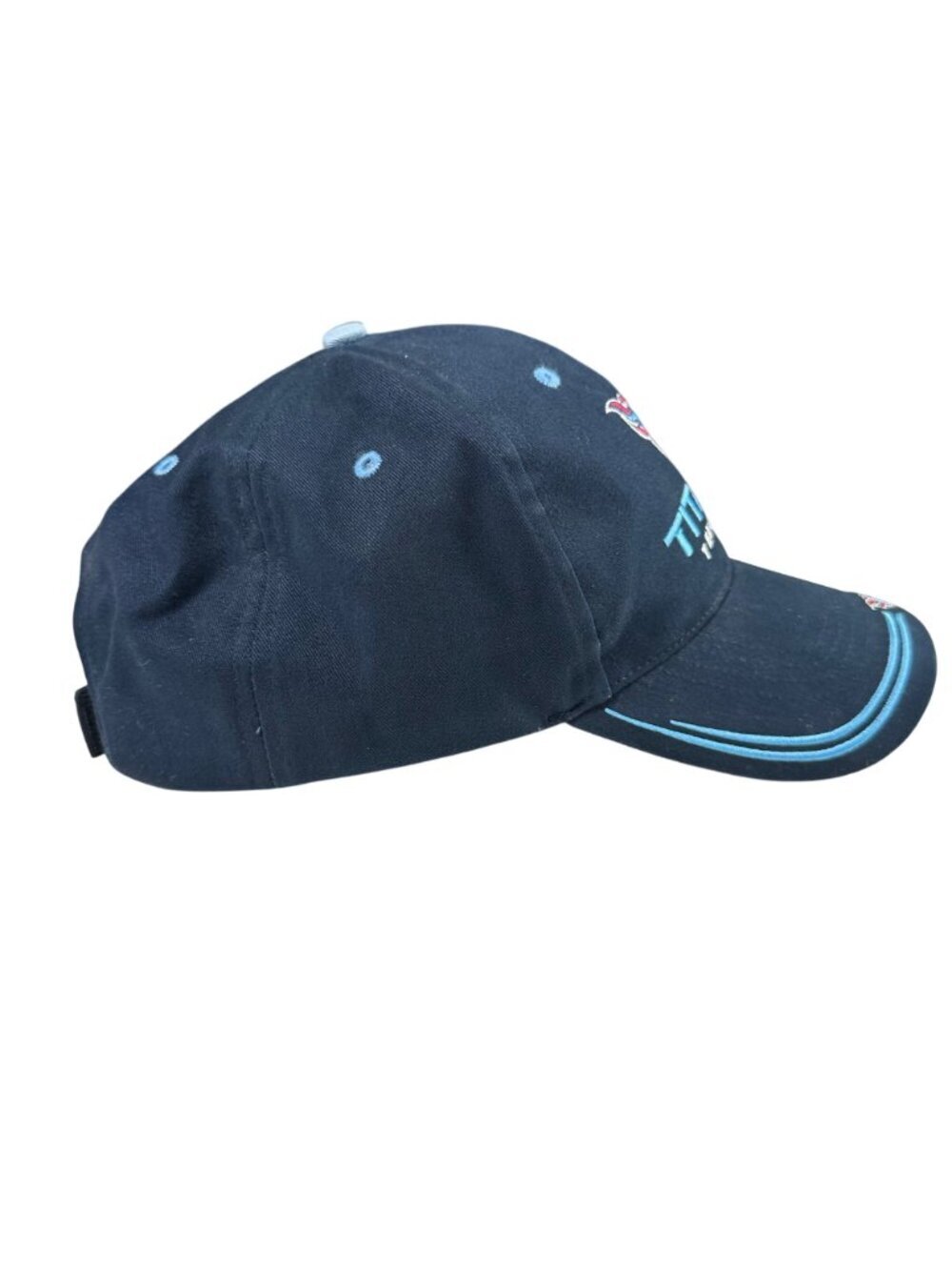 Vintage Tennessee Titans NFL Cap Twins Enterprise Adjustable Cotton OSFA - Picture 4 of 6